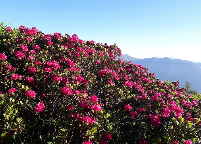 Zum Hirschen Zell Am Szálloda Zell am See